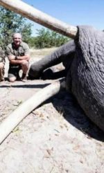 Le plus grand éléphant du Botswana et son voisin, l’homme le plus riche du monde